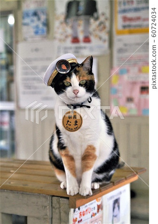 多摩站長 60724034