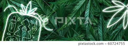 Creative fluorescent Christmas background layout from hemp leaves, marijuana and a neon sign gift. Flat lay Banner 60724755