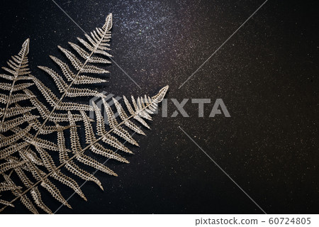 Christmas festive dark background. Shiny branches of fern and openwork tree on a black background with sparkles. Minimalism poster flat lay Christmas festive dark background. Shiny branches of fern and openwork tree on a black background with sparkles. Minimalism poster flat lay 60724805