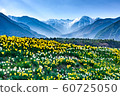 Spring of Komagane 60725050