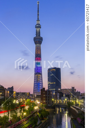 Sunset Sky Tree 60725417