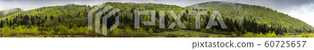 panorama of the Carpathian mountains panorama of the Carpathian mountains 60725657
