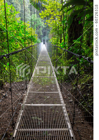Bridge in Costa Rica Bridge in Costa Rica 60726318