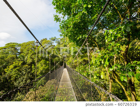 Bridge in Costa Rica 60726319