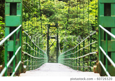 Bridge in Costa Rica 60726320