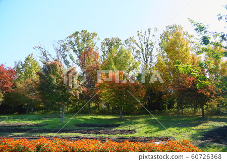 明亮的Iroha Momiji 60726368