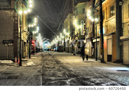 Night city / Otaru Yanagawa Street Night city / Otaru Yanagawa Street 60726480
