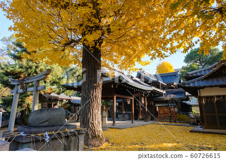京都桃山天滿宮 京都桃山天滿宮 60726615