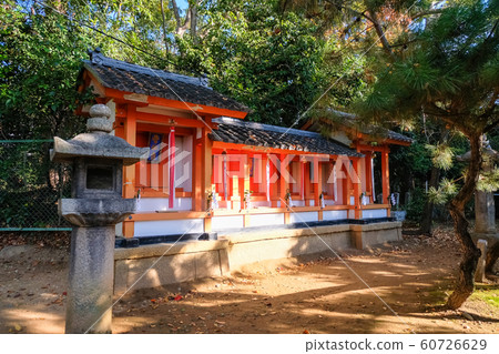 京都守宮神社 京都守宮神社 60726629