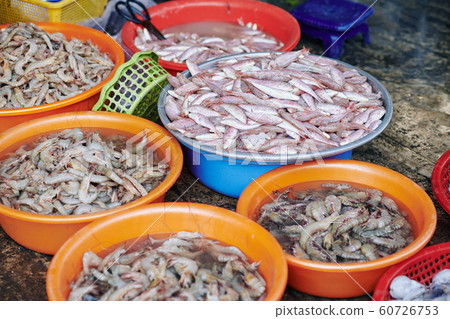 Basins with various fish and shrimps Basins with various fish and shrimps 60726753