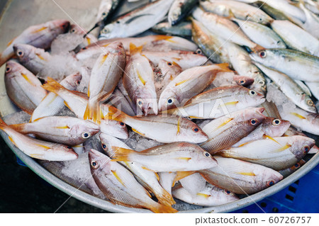 Raw fish on ice Raw fish on ice 60726757