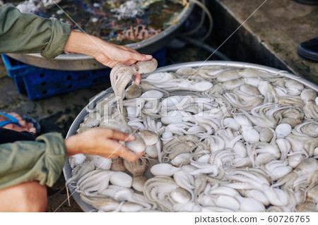 Woman buying fresh octopuses 60726765