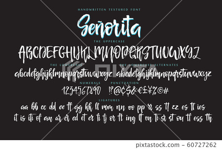 Handwritten script font vector alphabet Senorita set 60727262