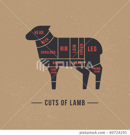 Cutting sheep meat painted in a vector. 60728291