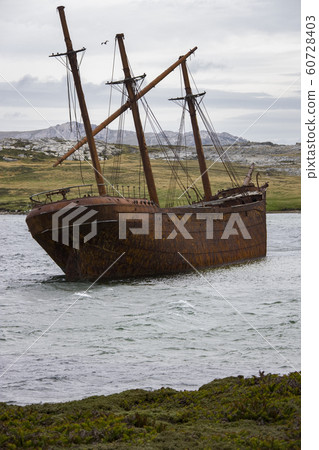 Wreck of the Lady Elizabeth in Whalebone Cove - Falkland Islands 60728403