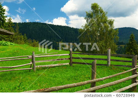 wooden fence on a ranch closeup, beautiful summer 60728949