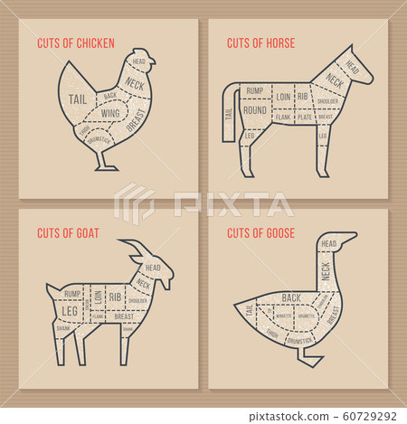 The vector scheme cuts chicken, horse, goat and goose. 60729292