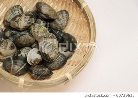 朝里 朝里 60729633