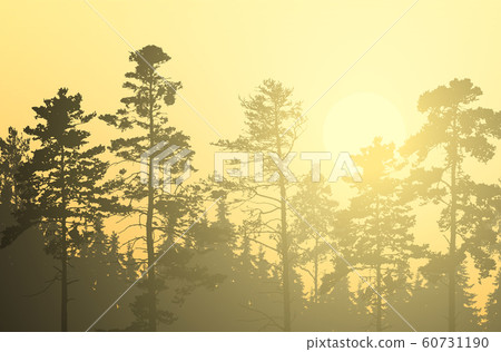 Vector illustration of coniferous forest with Vector illustration of coniferous forest with 60731190