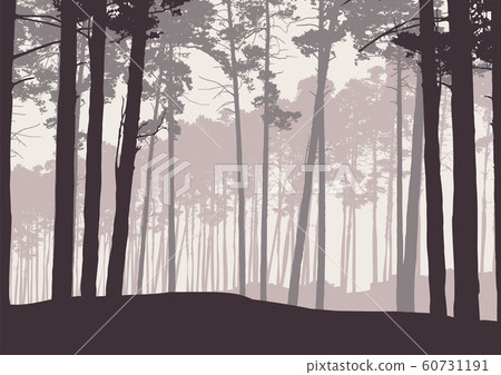 Vector illustration of a winter coniferous forest Vector illustration of a winter coniferous forest 60731191