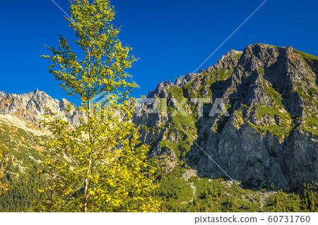 Mountain landscape at autumn season, High Tatras Mountain landscape at autumn season, High Tatras 60731760