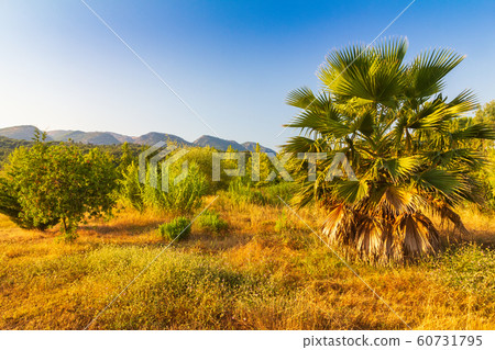 View of the mountainous landscape on the island. 60731795