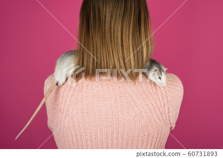 Two funny gray rats are sitting on the girl 60731893