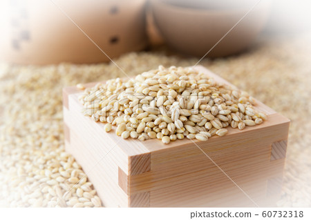 糯小麥 糯小麥 60732318