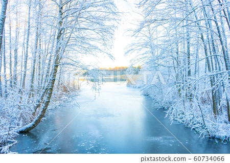 Frozen stream (canal) and trees with snow. Winter in scandinavia. Swedish landscape wallpaper. Frozen stream (canal) and trees with snow. Winter in scandinavia. Swedish landscape wallpaper. 60734066
