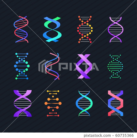 DNA molecule - line design style vector elements DNA molecule - line design style vector elements 60735366