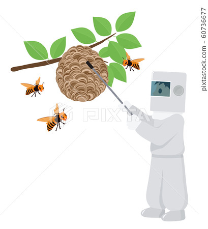 Illustration of hornet extermination _3 - Stock Illustration [60736677 ...