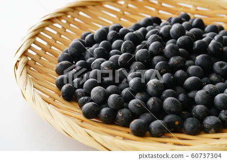 Black soybean 60737304