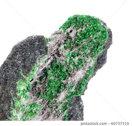 Shuiskite on green Uvarovite Shuiskite on green Uvarovite 60737319