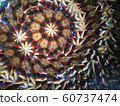 Kaleidoscopic image (shooting done with real 60737474