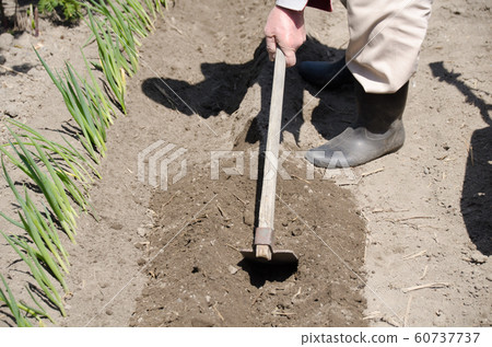 Occurrence of field 60737737