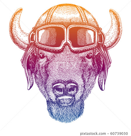 Buffalo, bison,ox, bull. Wild animal. Vector... - Stock Illustration  [60739030] - PIXTA
