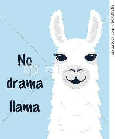 cute llama isolated 60739168