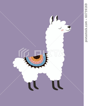 cute llama isolated 60739169