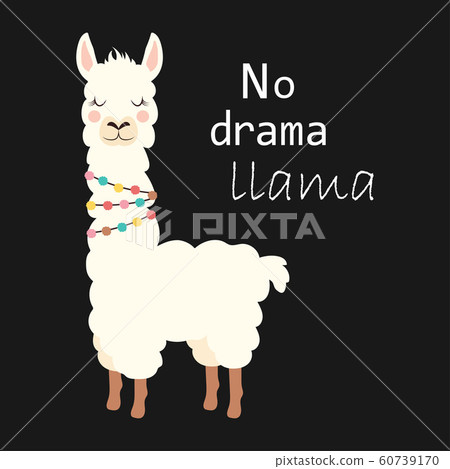 cute llama isolated 60739170