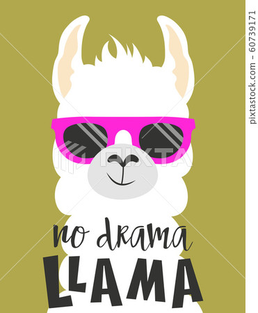 cute llama isolated 60739171