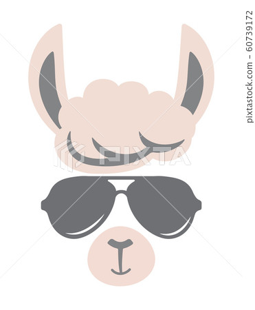 cute llama isolated 60739172