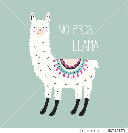 cute llama isolated cute llama isolated 60739173