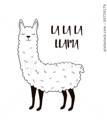 cute llama isolated 60739174
