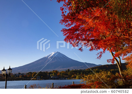 Mount Fuji in Autumn 60740582
