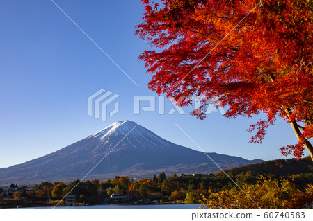 Mount Fuji in Autumn Mount Fuji in Autumn 60740583