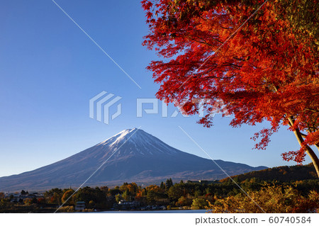 Mount Fuji in Autumn Mount Fuji in Autumn 60740584