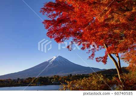 Mount Fuji in Autumn 60740585