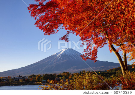 Mount Fuji in Autumn Mount Fuji in Autumn 60740589