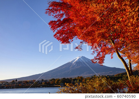 Mount Fuji in Autumn Mount Fuji in Autumn 60740590