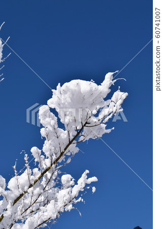 早晨晴朗的天空,白色的銀色霧e 早晨晴朗的天空,白色的銀色霧e 60741007